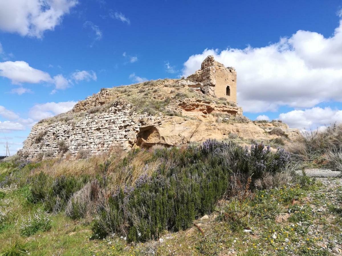 Ca L'Aviador Villa Sarroca de Lerida Dış mekan fotoğraf